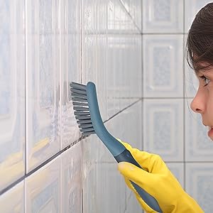 cleaning brush