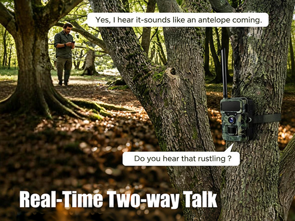 live feed trail camera