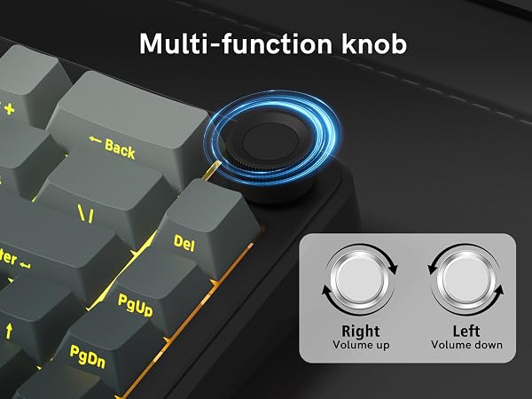 60 Mechanical Keyboard Wireless with Knob, Black Gaming Keyboard,USB-C/BT5/2.4G RGB Hot Swappable