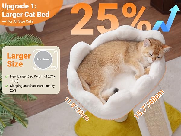 larger cat bed