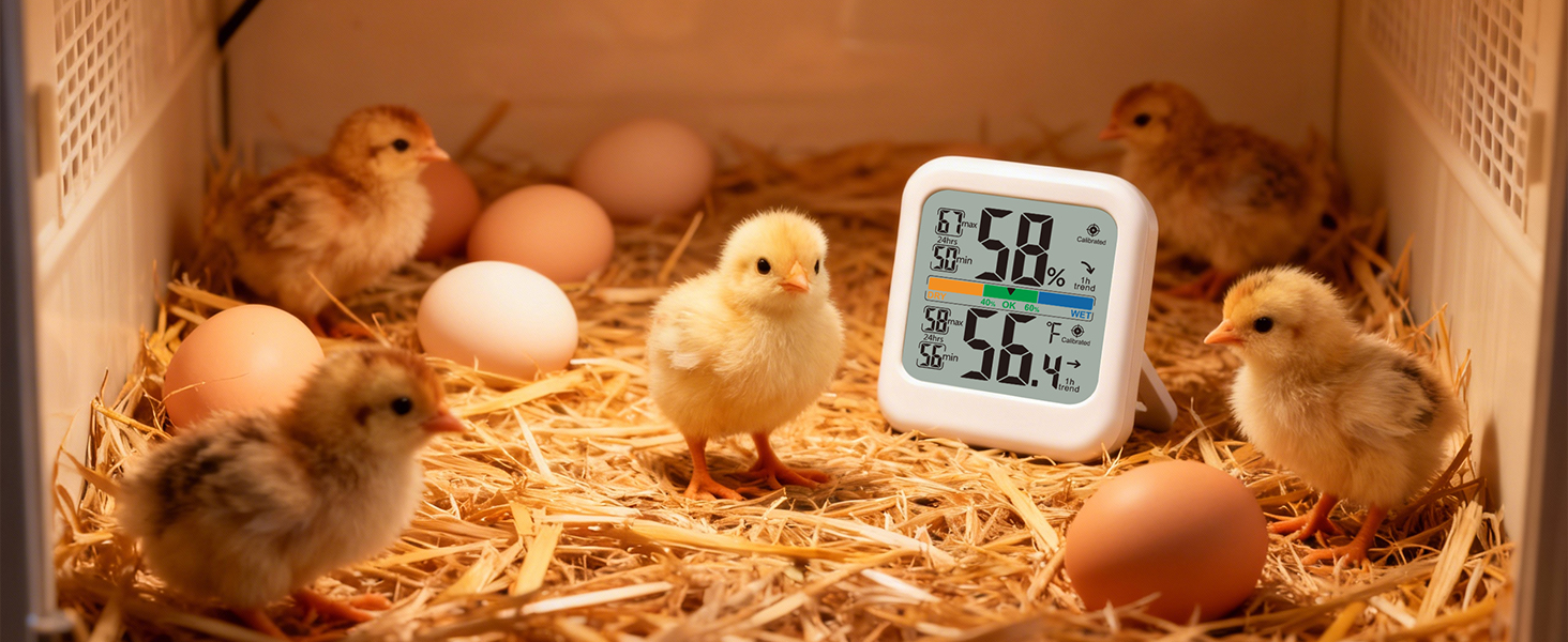 room temperature thermometer
