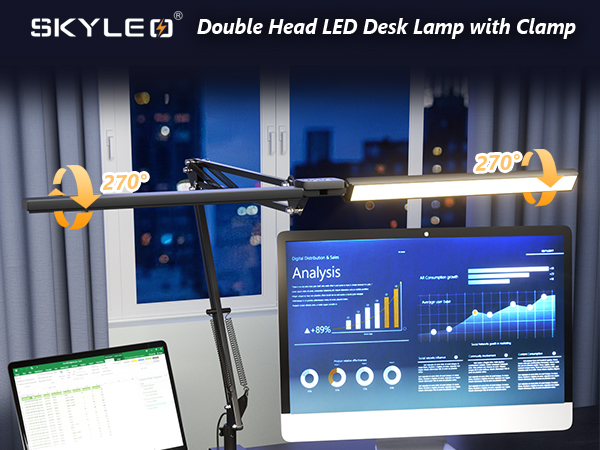Desk Lamp