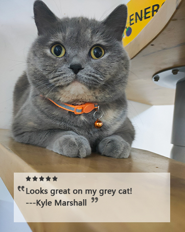 cat collar