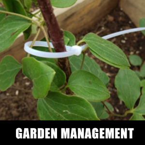 Nylon Cable Zip Ties