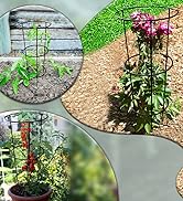 ARSUK Garden Cage Plant Support Flower Border Frame for Peonies, Hydrangea, Roses Heavy Duty (Con...
