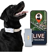 PAJ GPS Tracker for Dogs - 4G GPS Collar Tag with Real-Time Location Tracking & Runaway Alert - W...