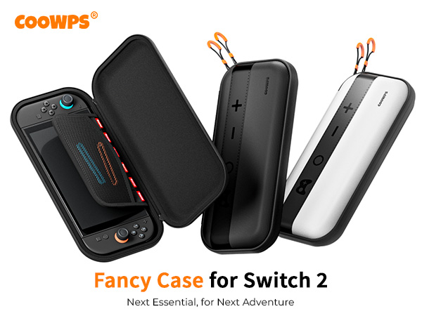 switch 2 case