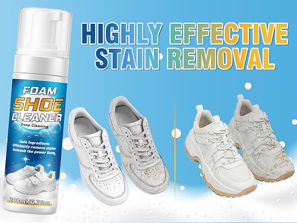 shoe cleaning kit