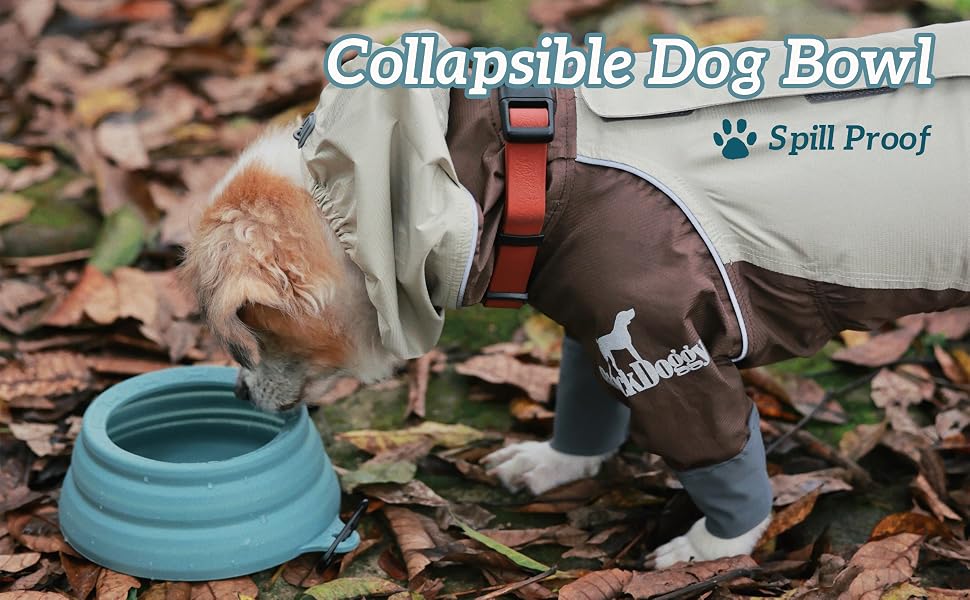 Collapsible dog bowl in teal color being demonstrated outdoors, labeled as spill-proof, with fallen leaves in background.