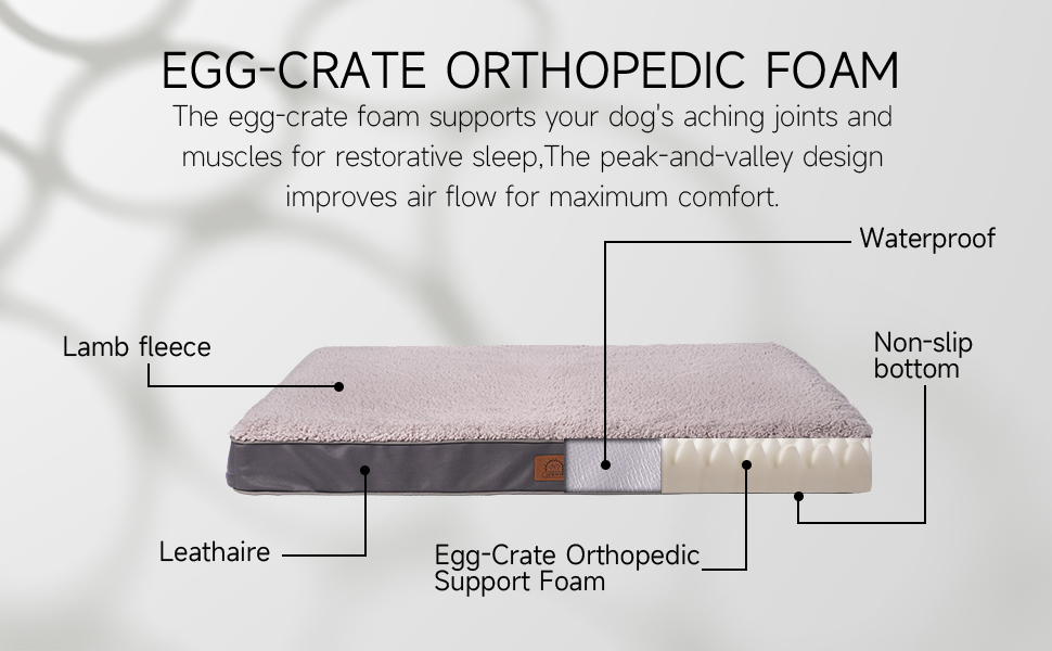 orthopedic dog bed