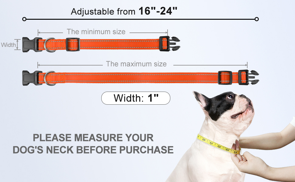 Reflective dog collar