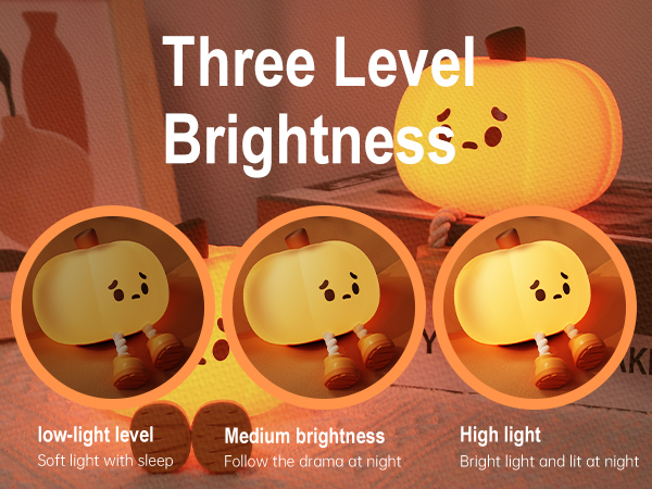 Pumpkin LED Night Light-13