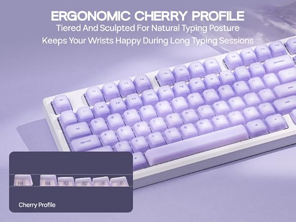 AegisSil Keycaps Set