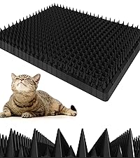 https://m.media-amazon.com/images/S/aplus-media-library-service-media/38aa63c7-0b11-42a6-a056-9b36f395be9b.__CR111,0,1778,2000_PT0_SX200_V1___.png