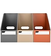 SAYEEC Plastic Magazine File Holder, 3 Pack Foldable Folder Holder with Labels, Vertical File Pap...