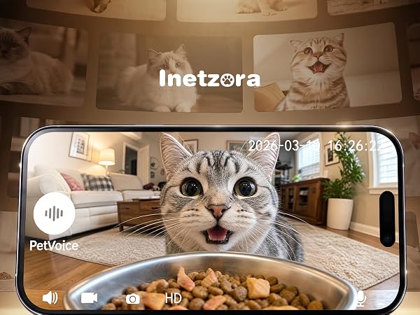 automatic cat feeder with camera