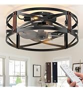 Passky 20" Farmhouse Flush Mount Ceiling Fans with Lights and Remote, Industrial Black Caged Low ...