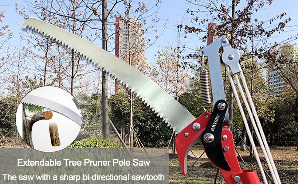 Extendable Tree Pruner Saw
