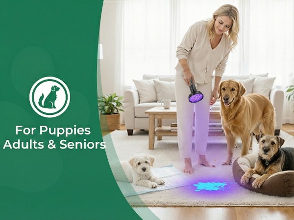 black light flashlight for pet urine pet urine black light detector urine light detector for dogs