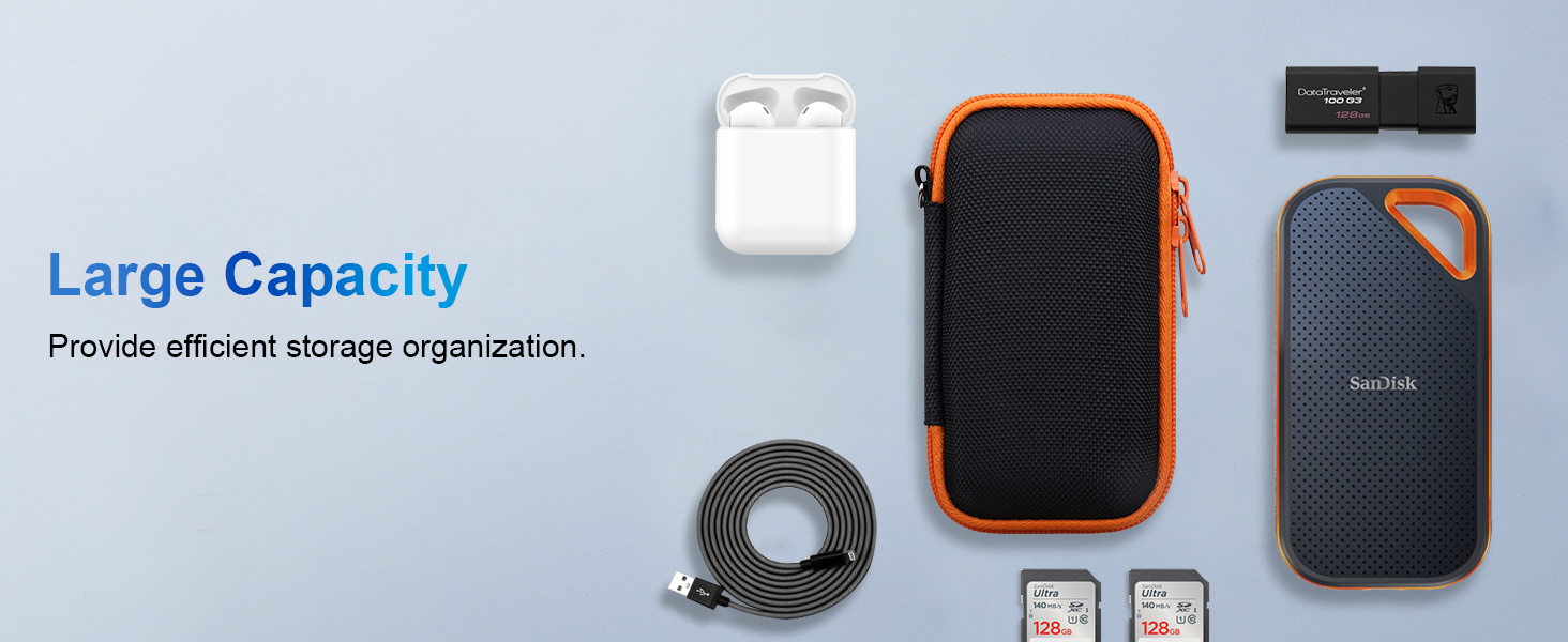 sandisk ssd case