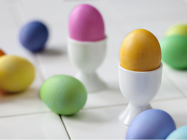 egg cup holder
