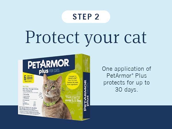 step 2: protect your cat