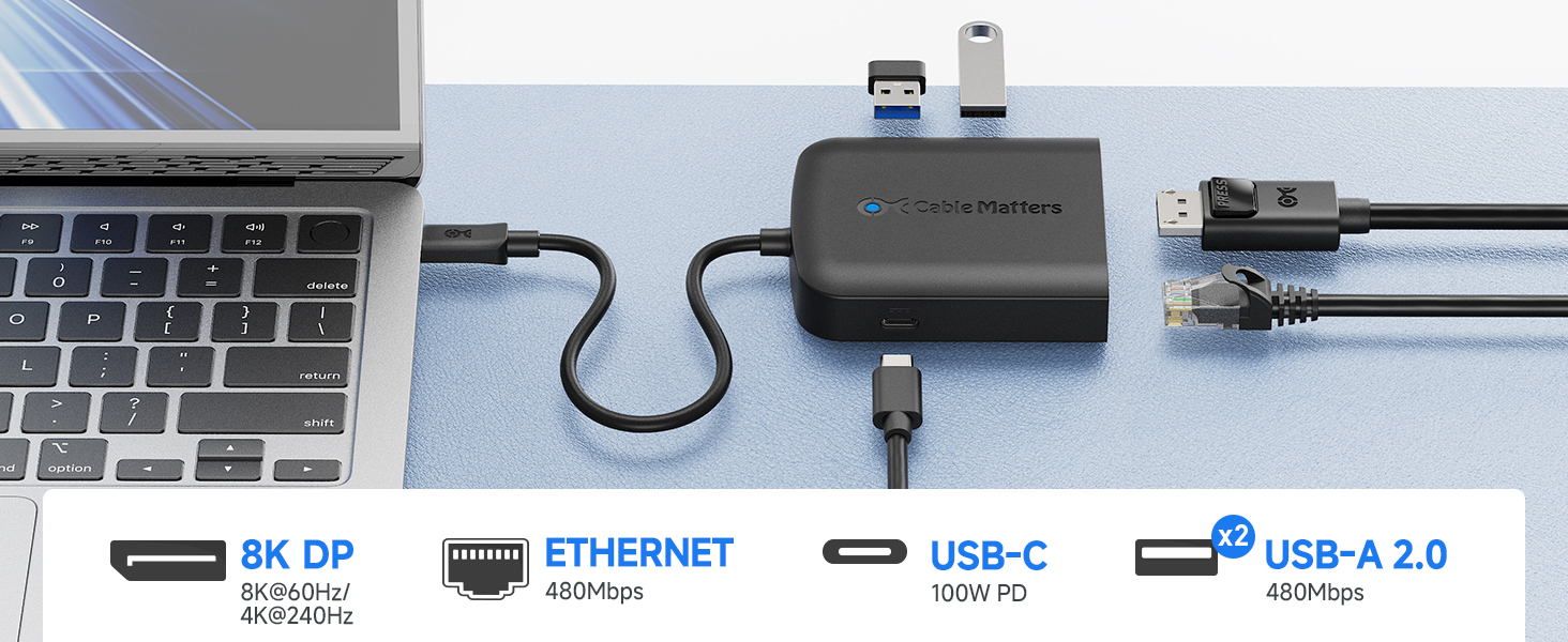 USB C Multiport Adapter (USB C Hub with DisplayPort 8K), 2X USB 2.0, Fast Ethernet, and 60W