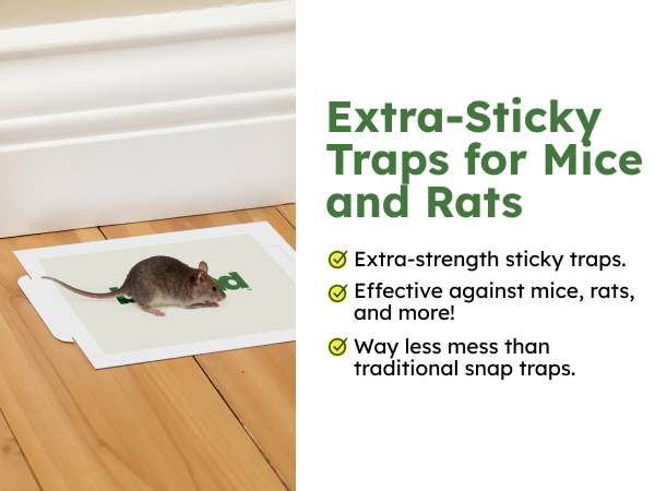 Extra-Sticky Traps for Mice and Rats Extra-strength sticky traps Effective against mice, rats