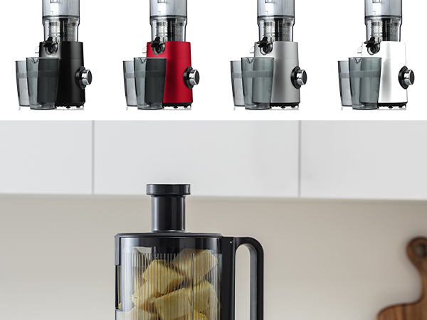 Masticating Juicer