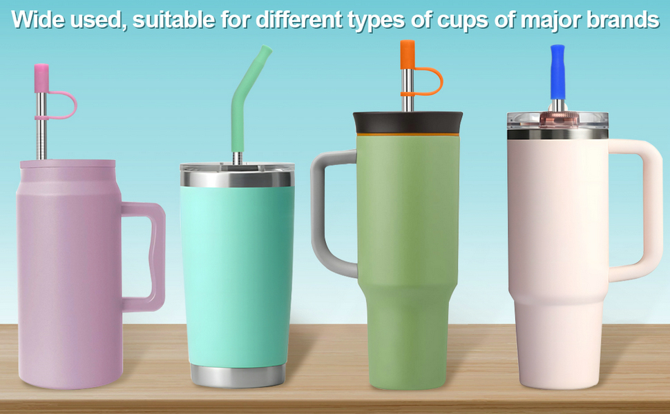 Reusable Stainless Steel Straw Set