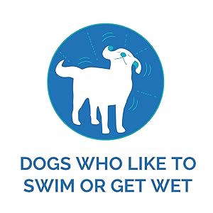 DOGS WHO LIKE TO SWIM