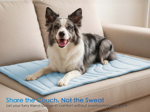 dog cooling mat
