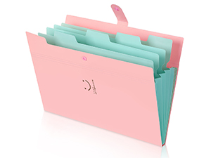 FILE FOLDER