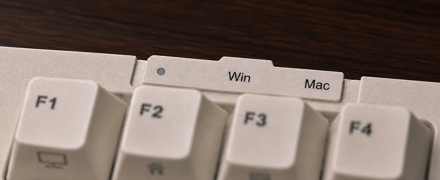 Win/Mac Switch