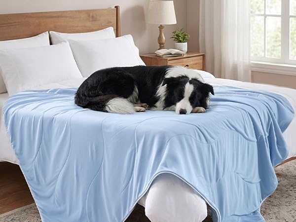cooling blanket for dogs