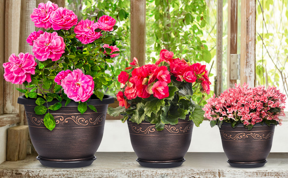 flower pot