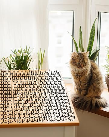 cat spikes mat