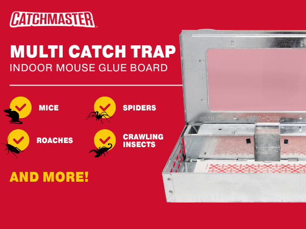 multi catch container glue rat and mouse trap