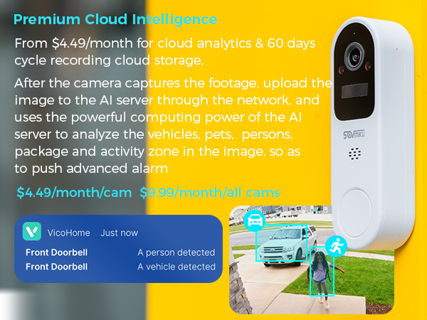 Prime Cloud intelligence