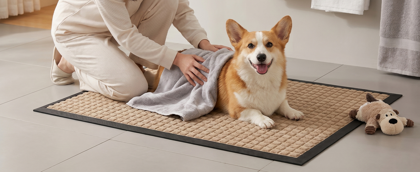 pet friendly Non-toxic