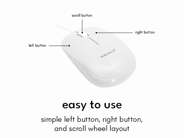 mouse