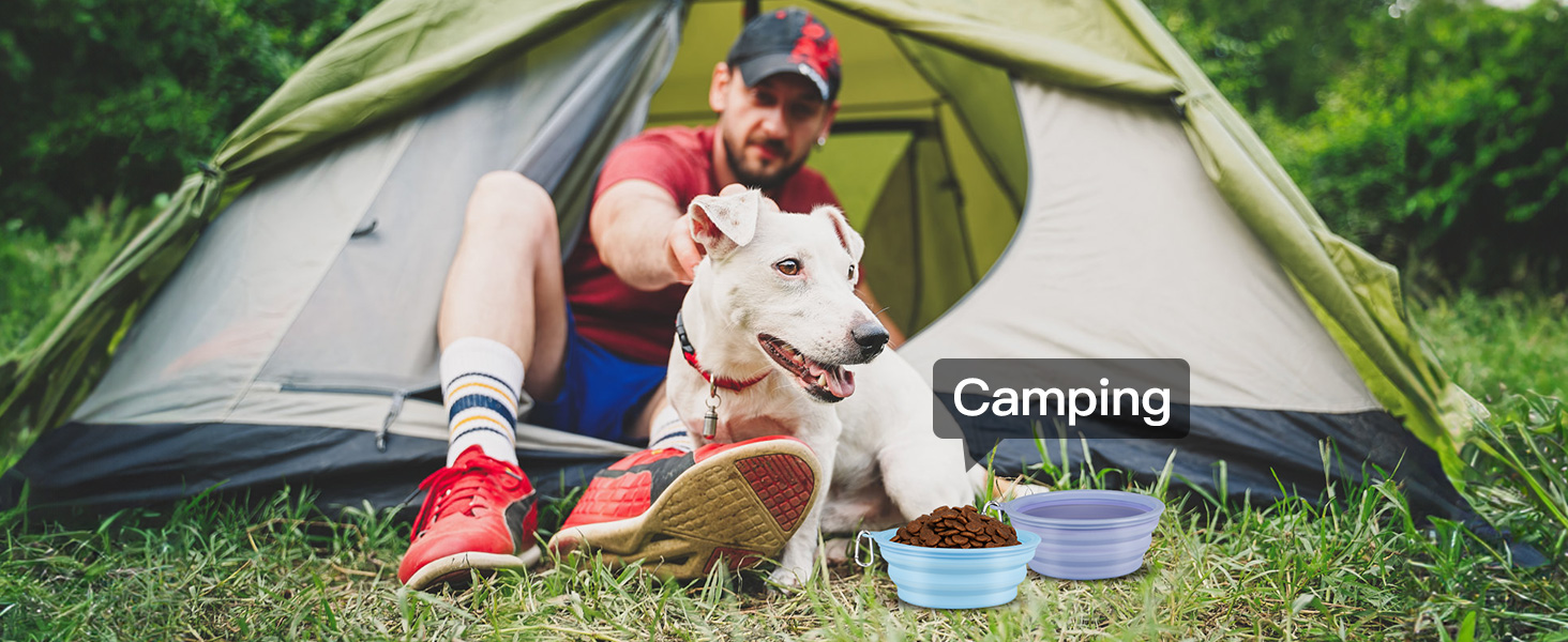 collapsible dog bowls