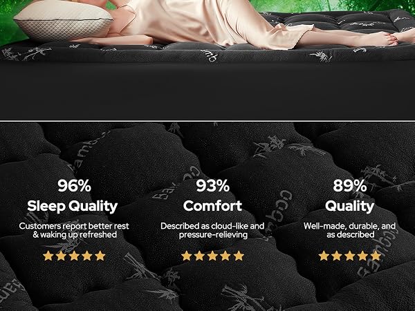 Trusted & Highly Praised by Countless US Customers