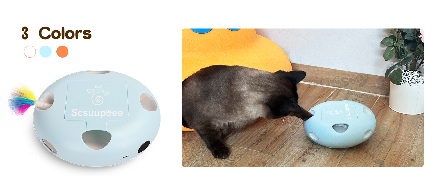 cat toy