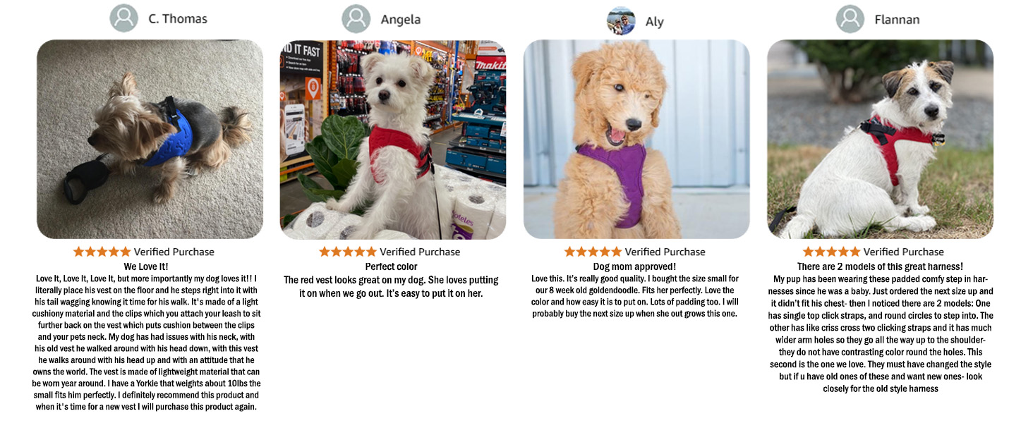 dog harness