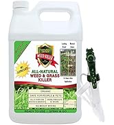 Natural Armor Weed and Grass Killer All-Natural Concentrated Formula. Contains No Glyphosate (128...