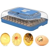 70 Eggs Incubator - 3-in-1 with Automatic Egg Turning with External Injection Water Bottle,Househ...