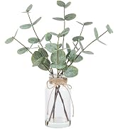 Coferset Artificial Eucalyptus Stems in Glass Vase with Faux Water, 15" Eucalyptus Fake Plants wi...