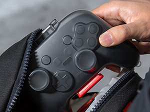 switch 2 pro controller case