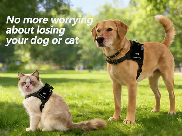 No more worrying about losing your dog or cat.